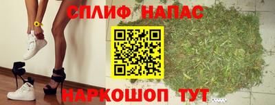 прущие грибы Боровичи