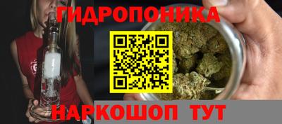 прущие грибы Боровичи