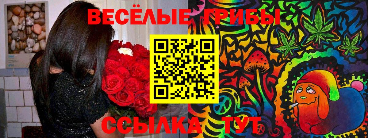 Камень-на-Оби  ГАШ  МЕФ кристаллы  Вход с VPN  МЕФ 