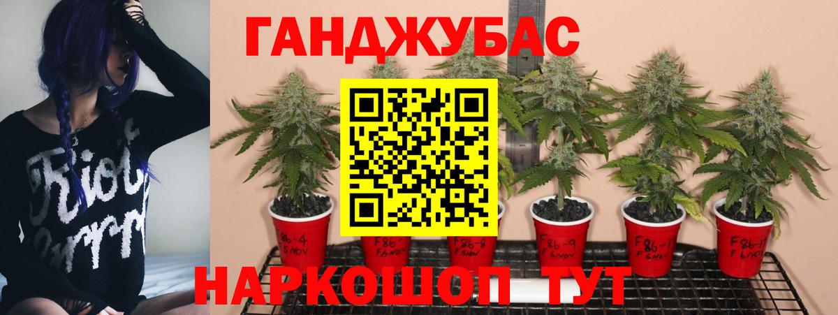 Шишки марихуана планчик Камень-на-Оби